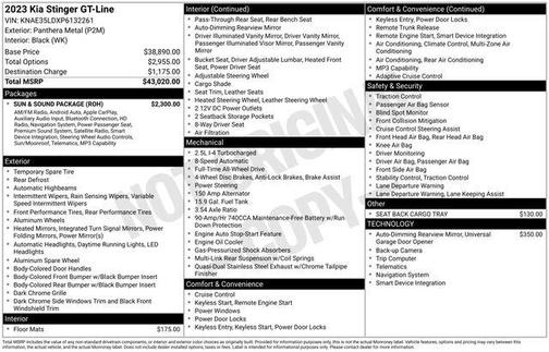 Panthera Metal 2023 Kia Stinger GT-Line