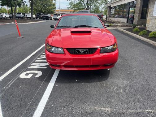 OTHER 2003 Ford Mustang GT