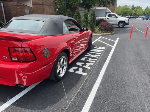 OTHER 2003 Ford Mustang GT