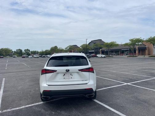 White Pearl 2019 Lexus NX 300