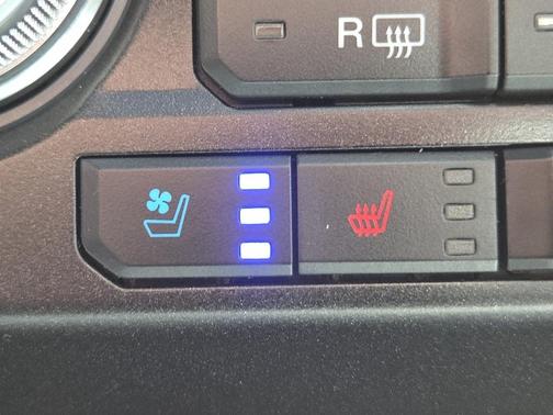 Magnetic 2020 Ford F-250 Platinum
