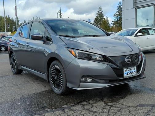 2025 Nissan Leaf SV PLUS