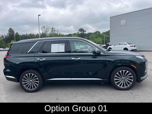 Robust Emerald 2025 Hyundai PALISADE Calligraphy