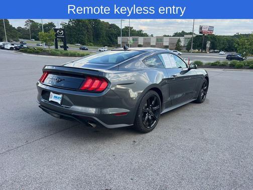 Magnetic 2020 Ford Mustang EcoBoost