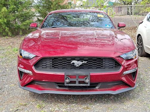 Ruby Red Metallic Tinted Clearcoat 2019 Ford Mustang EcoBoost