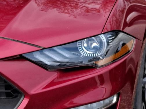 Ruby Red Metallic Tinted Clearcoat 2019 Ford Mustang EcoBoost