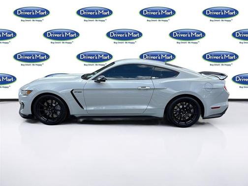 Avalanche Gray 2016 Ford Shelby GT350 Base