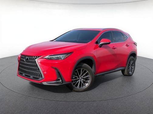 Red Line 2024 Lexus NX 250 Premium