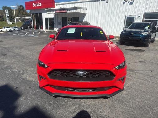 2019 Ford Mustang EcoBoost