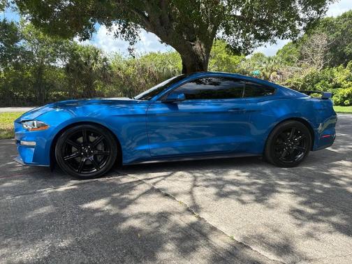 Velocity Blue Metallic 2019 Ford Mustang GT Premium