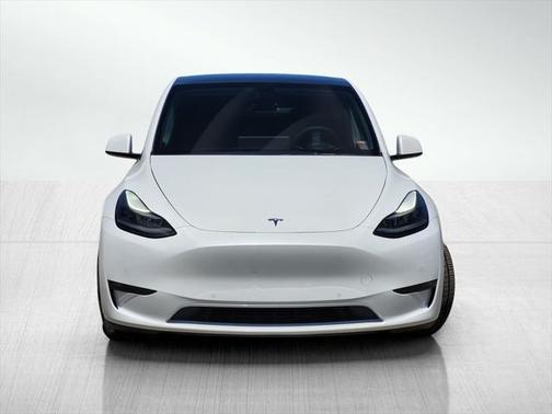 2021 Tesla Model Y Performance Dual Motor All-Wheel Drive