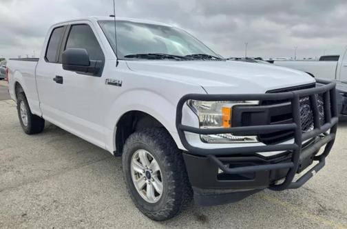 Oxford White 2019 Ford F-150 XL