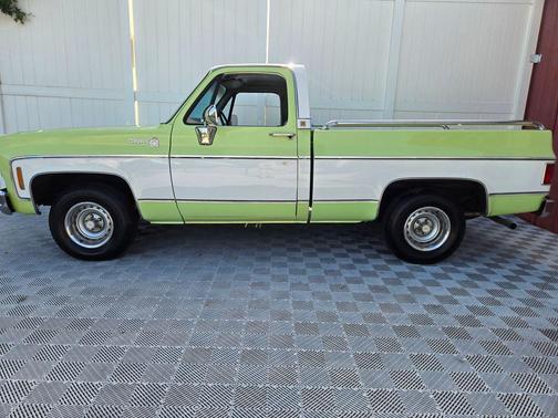Light Green 1976 Chevrolet C10/K10 Base