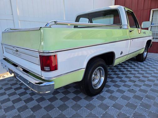 Light Green 1976 Chevrolet C10/K10 Base