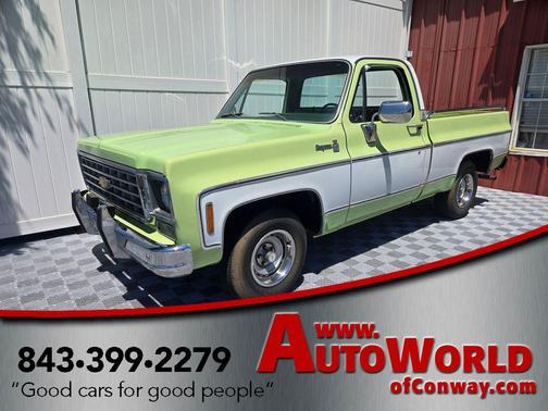 Light Green 1976 Chevrolet C10/K10 Base