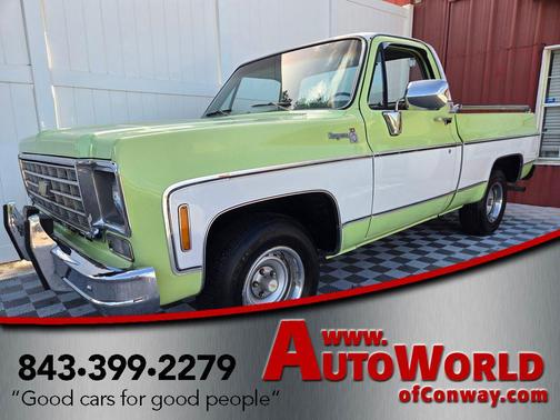 Light Green 1976 Chevrolet C10/K10 Base