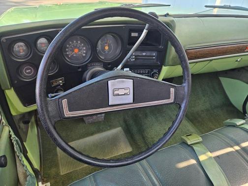 Light Green 1976 Chevrolet C10/K10 Base