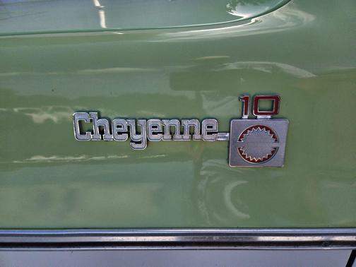 Light Green 1976 Chevrolet C10/K10 Base