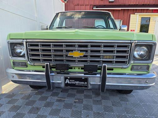 Light Green 1976 Chevrolet C10/K10 Base