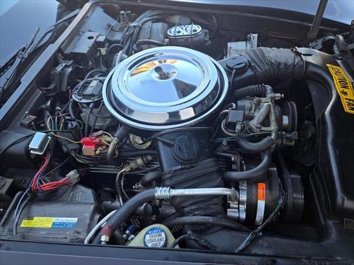 1981 Chevrolet Corvette Base