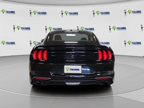 2019 Ford Mustang EcoBoost