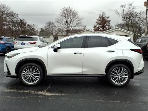 2025 Lexus NX 350h Luxury