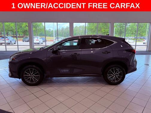 Cloudburst Gray 2024 Lexus NX 250 Premium