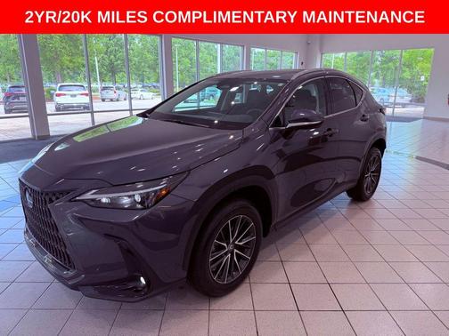 Cloudburst Gray 2024 Lexus NX 250 Premium