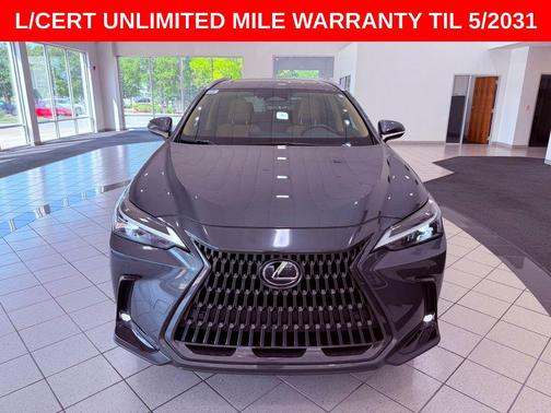 Cloudburst Gray 2025 Lexus NX 250 Premium