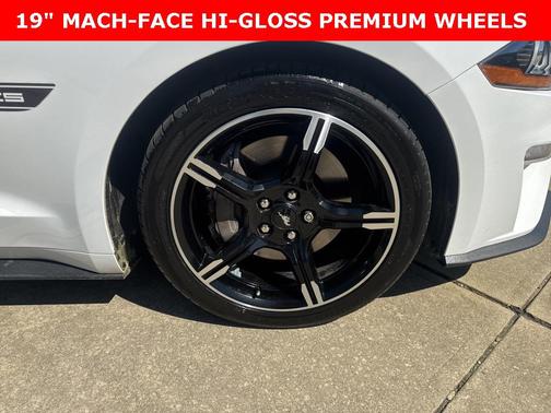 2019 Ford Mustang GT Premium