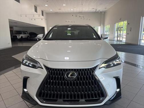 2023 Lexus NX 350h Luxury