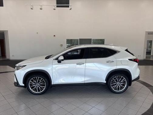 2023 Lexus NX 350h Luxury