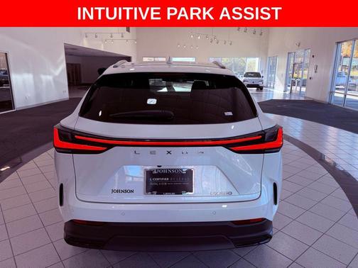 2024 Lexus NX 250 Premium