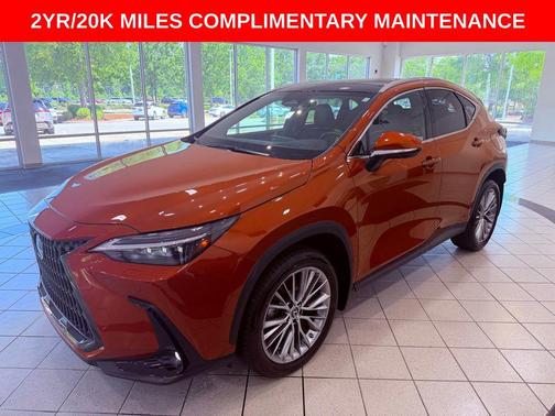 Cadmium Orange 2023 Lexus NX 350 Luxury