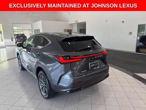 2025 Lexus NX 250 Premium