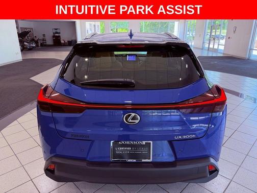 Grecian Water 2025 Lexus UX 300h Premium