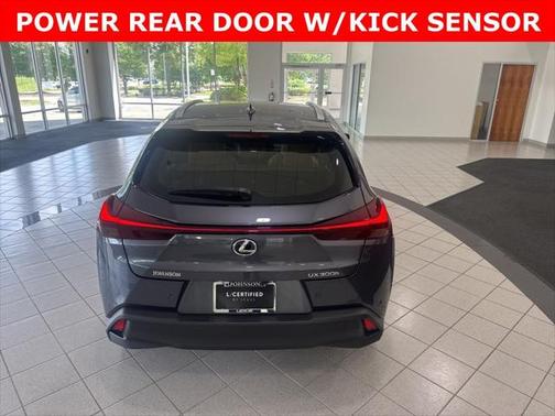 2025 Lexus UX 300h Premium