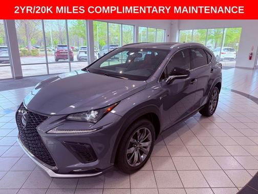 Nebula Gray Pearl 2021 Lexus NX 300 F Sport