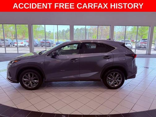 Nebula Gray Pearl 2021 Lexus NX 300 F Sport