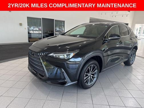 2025 Lexus NX 250 Premium