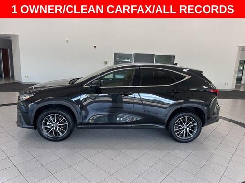 2025 Lexus NX 250 Premium