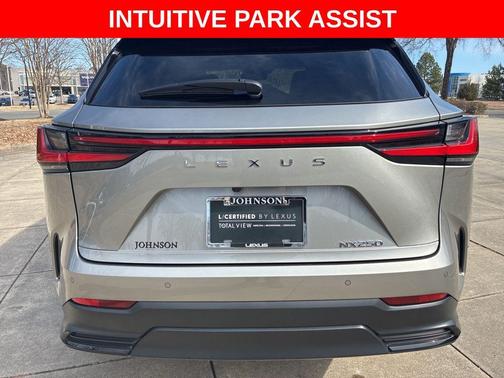 2025 Lexus NX 250 Premium