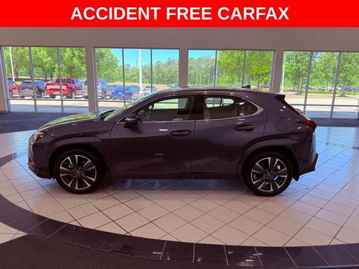 Cloudburst Gray 2025 Lexus UX 300h Premium