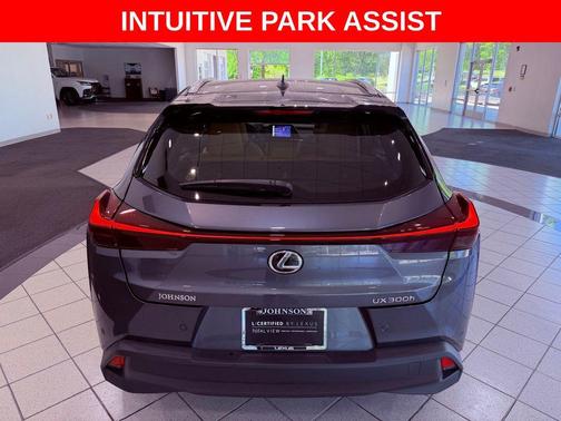 Cloudburst Gray 2025 Lexus UX 300h Premium