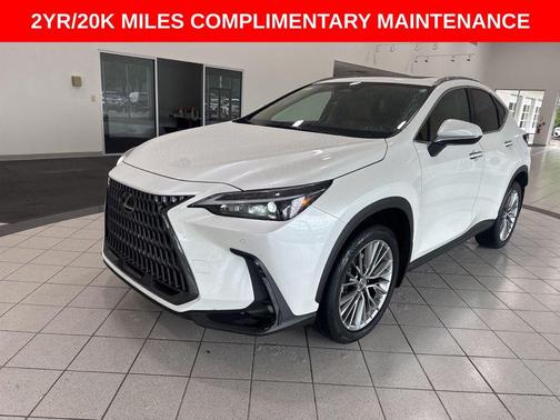 2023 Lexus NX 350h Premium
