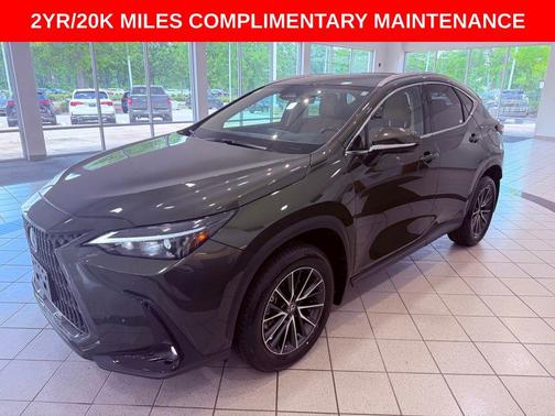 Nori Green Pearl 2025 Lexus NX 350 Premium