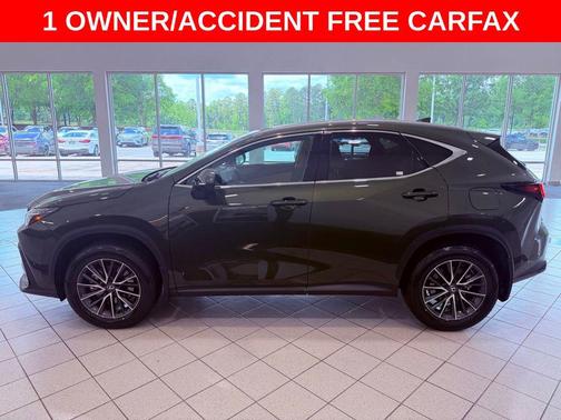 Nori Green Pearl 2025 Lexus NX 350 Premium