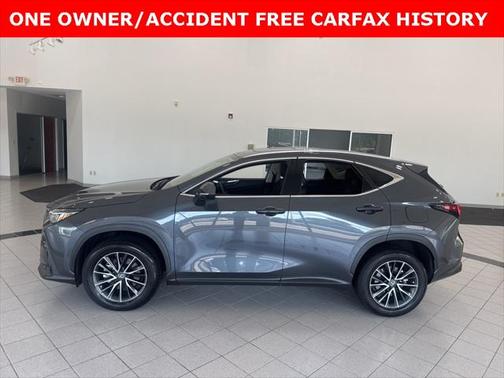 2025 Lexus NX 250 Premium