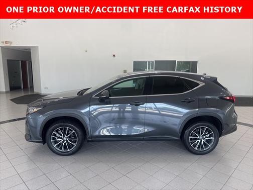 2024 Lexus NX 250 Premium