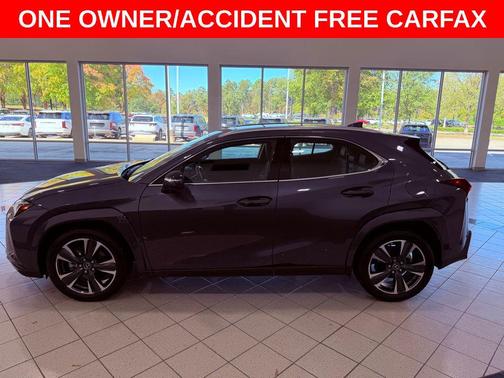 2025 Lexus UX 300h Premium